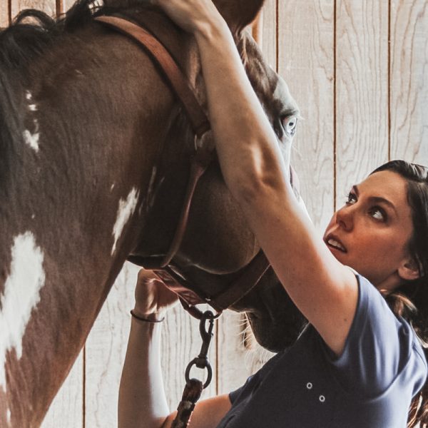 Move Better Chiropractic-Treatment for Pets and Animals - Horse Equine-2
